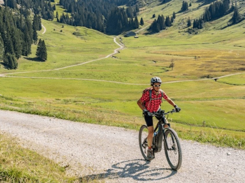 Revisione della batteria della bicicletta: dovrei?