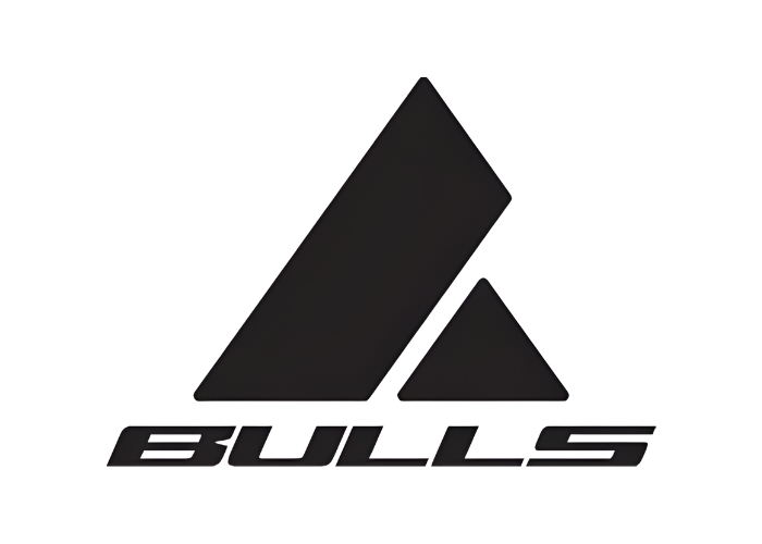 Bulls Logo