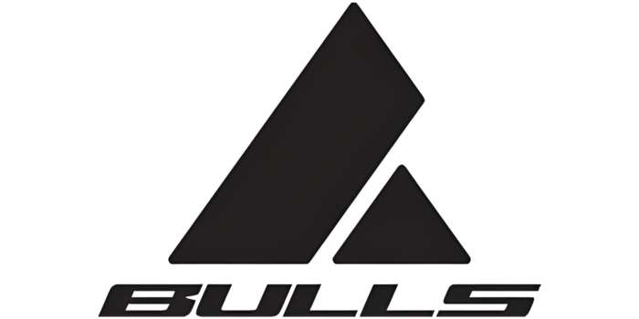 Bulls Logo